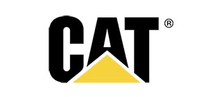 cat-logo
