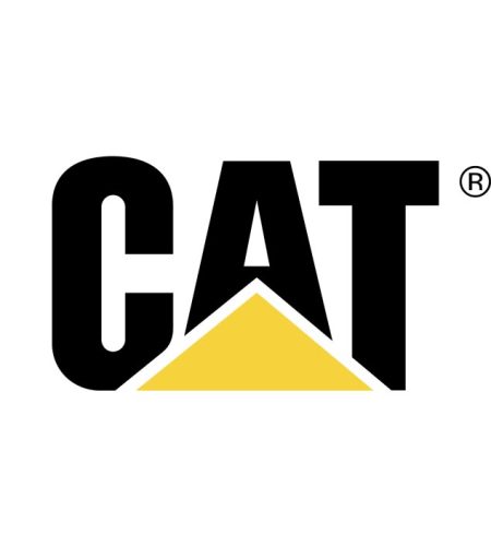 cat-logo